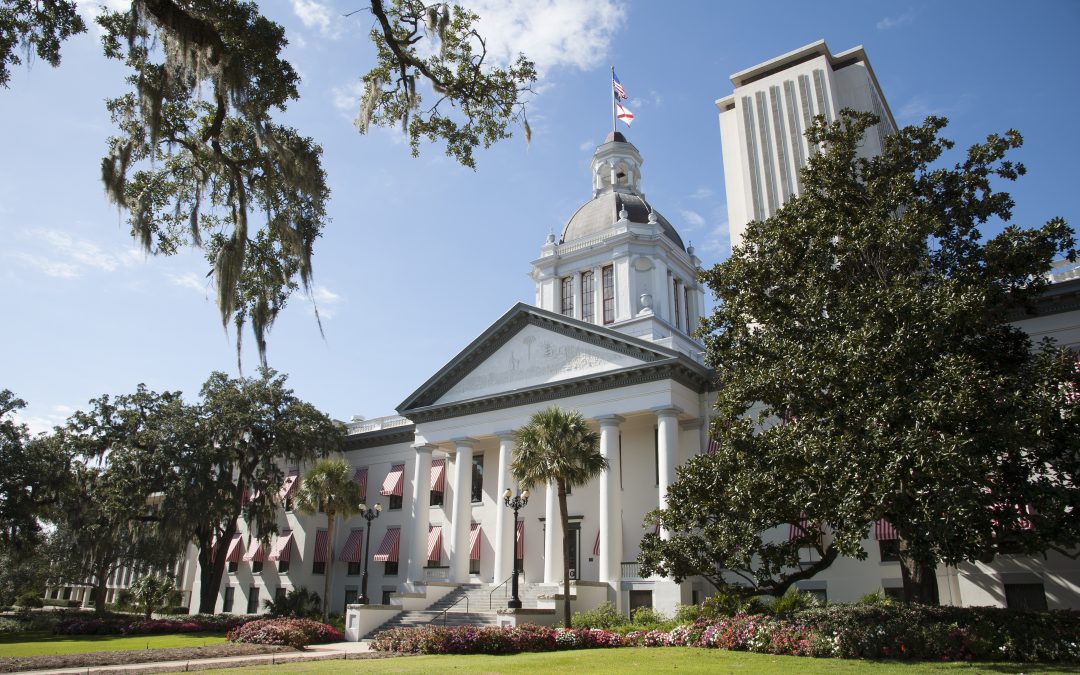 Important Post Election Updates – Florida Legislative Amendments, November 3rd 2020.